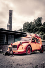 Lade das Bild in den Galerie-Viewer, COSTUMS &amp; CLICKS Vol 2 - Heavy Metal

